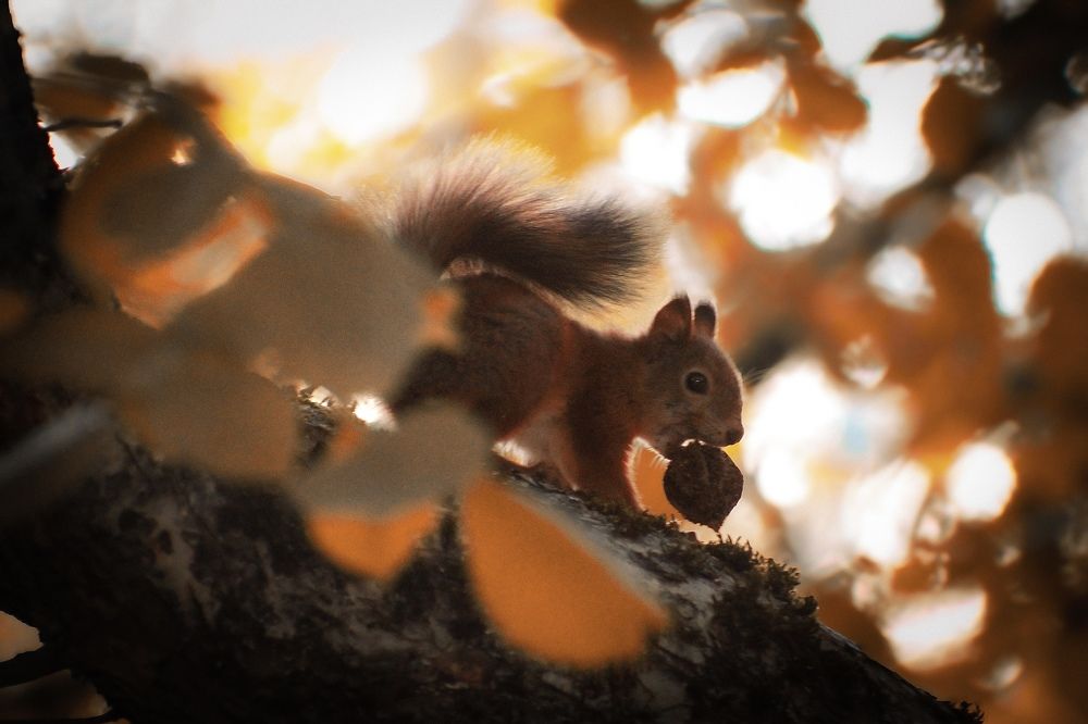 Фотография автора Anna Tikka