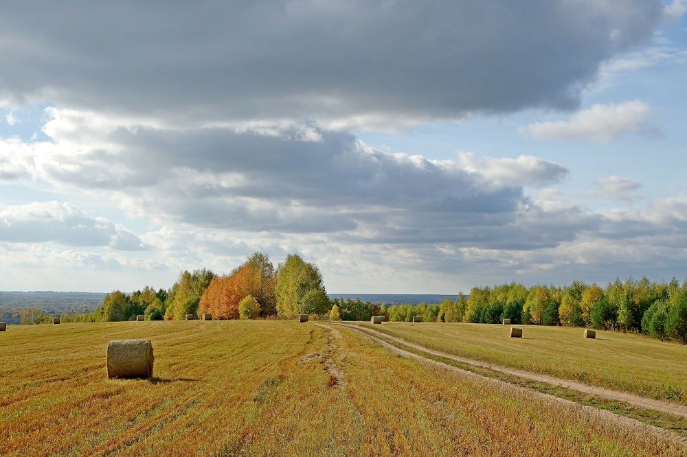 Photograph by Виктор Решетников