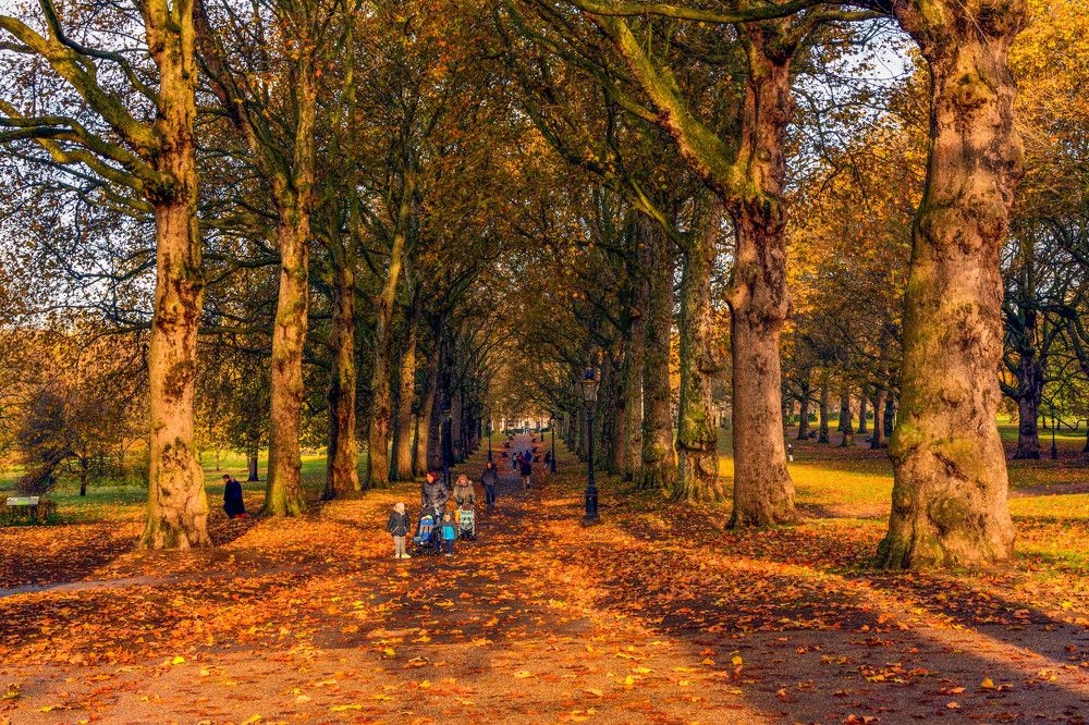 Фотография автора OVIDIU-IOAN TICU