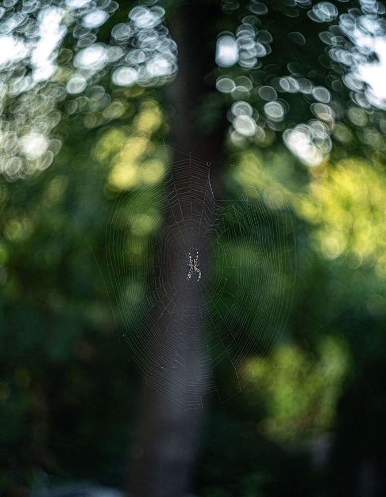 Photograph by Саша Зугров