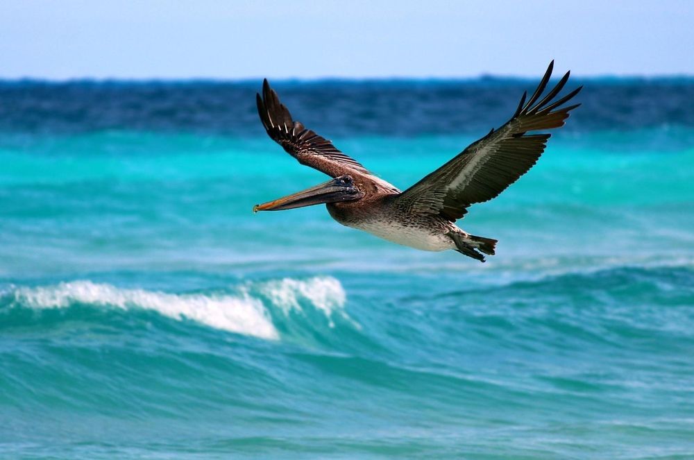 Photograph by Елена Анучина