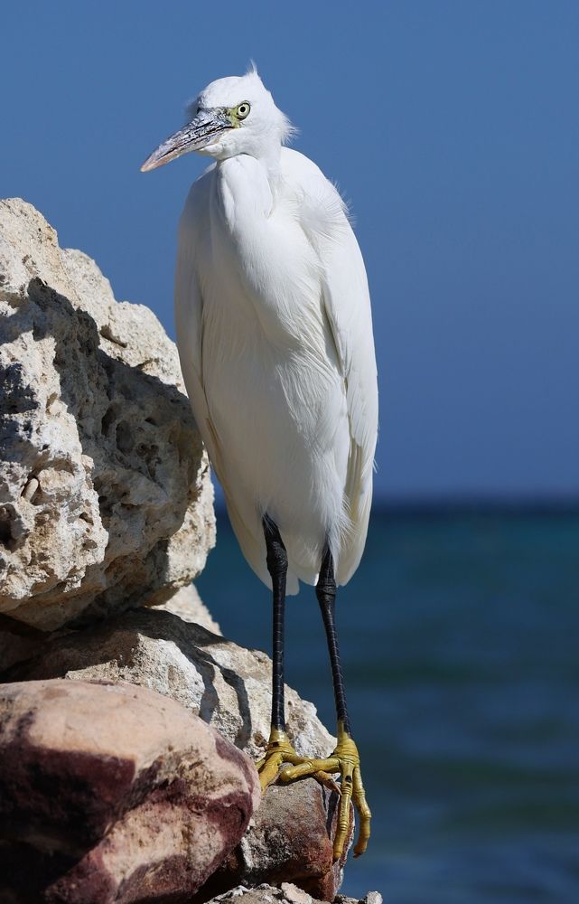 Photograph by Елена Анучина