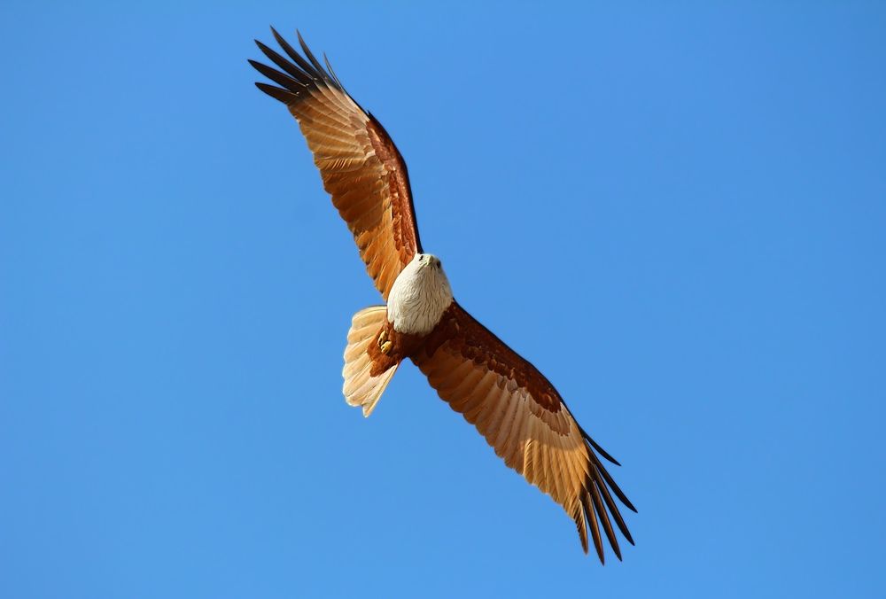 Photograph by Елена Анучина