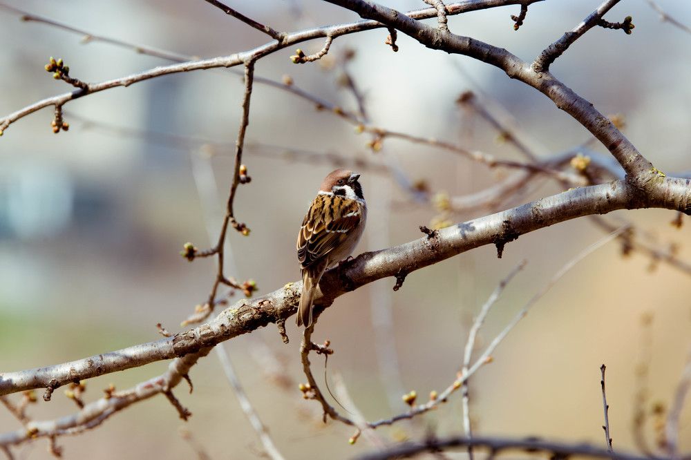 Photograph by Кристина Присакарь