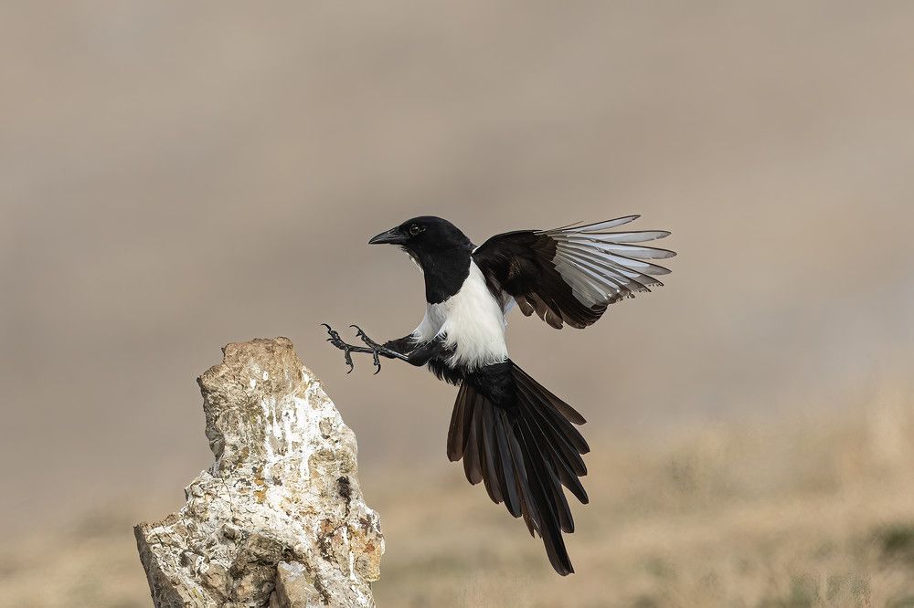 Photograph by Nikolay Stoyanov