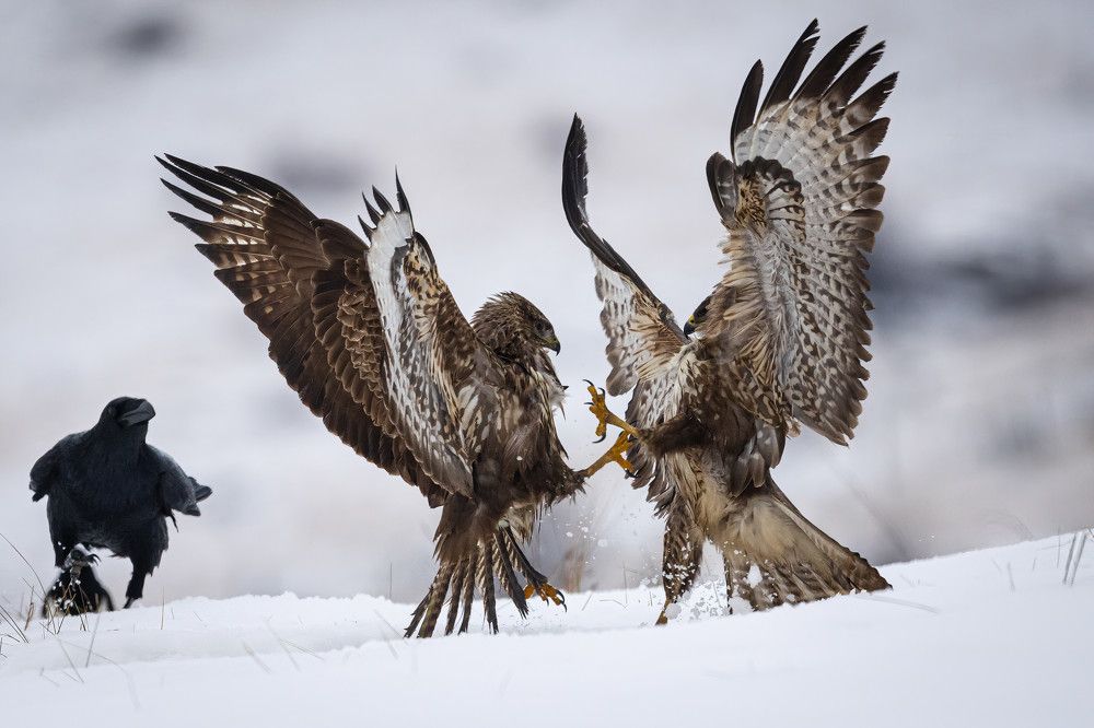 Photograph by Nikolay Stoyanov