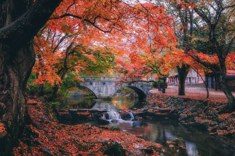 Photograph by Vu Van Minh