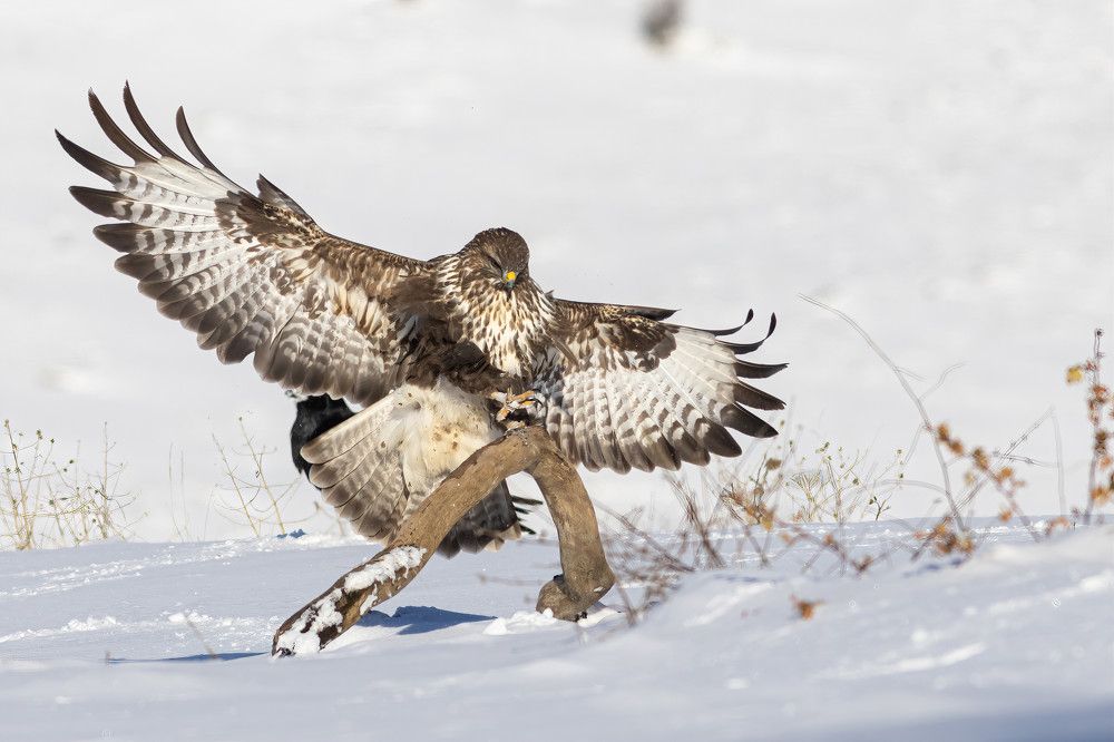 Photograph by Nikolay Stoyanov