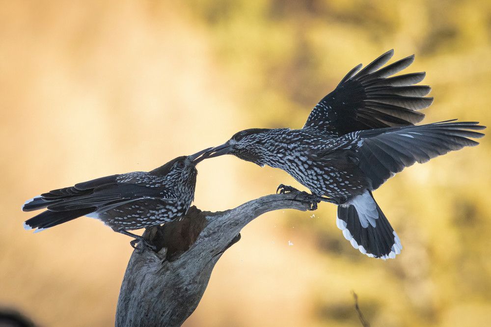 Photograph by Nikolay Stoyanov