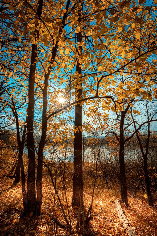 Photograph by Сергей Кочетов