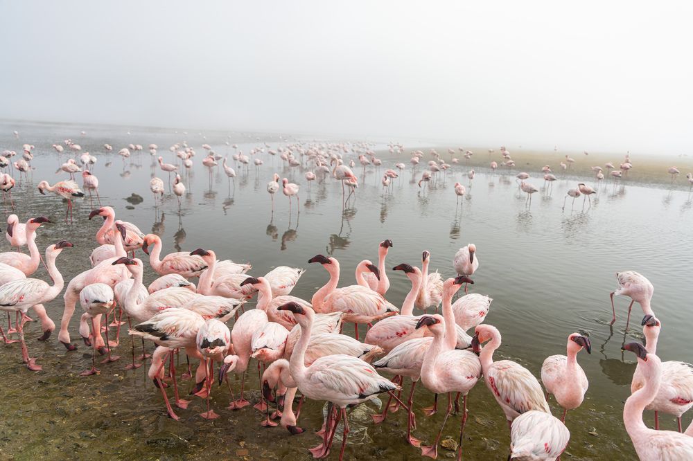 Photograph by Кирилл Мазазолин