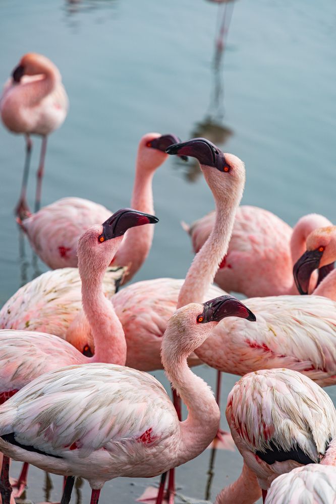 Photograph by Кирилл Мазазолин