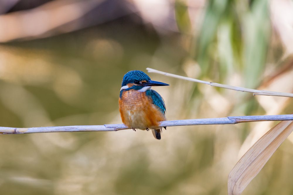 Photograph by Кирилл Мазазолин