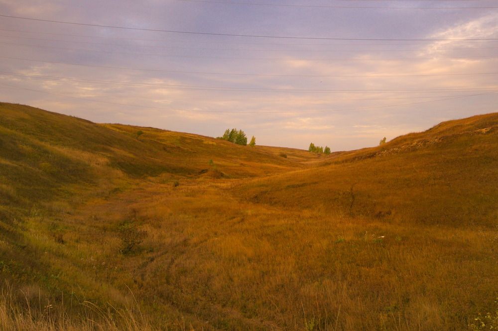 Photograph by Дмитрий Павлов