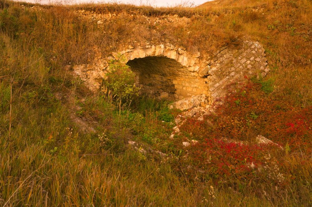 Photograph by Дмитрий Павлов