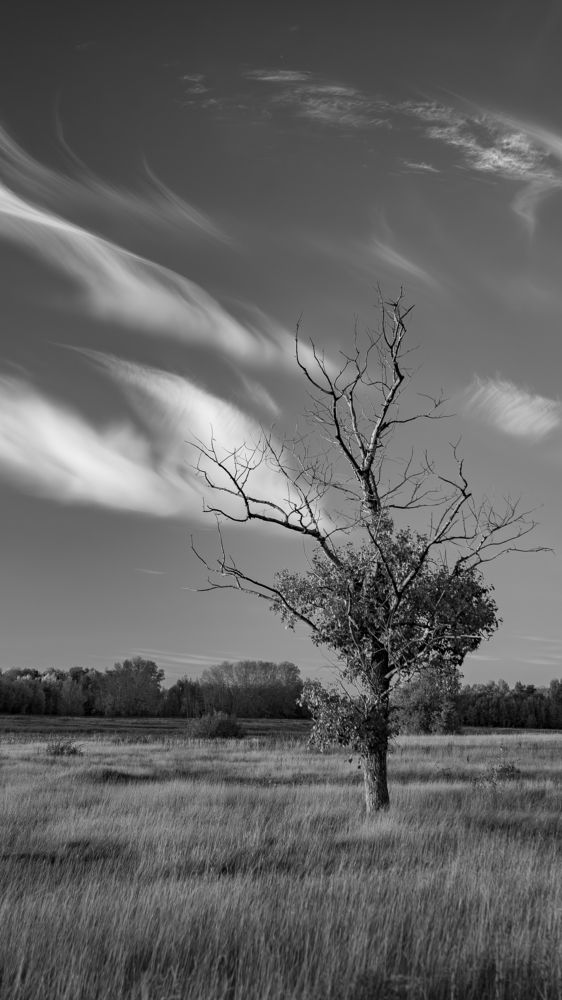 Photograph by Михаил Соколов