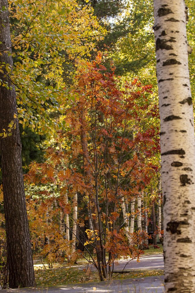 Photograph by Мария Степанова