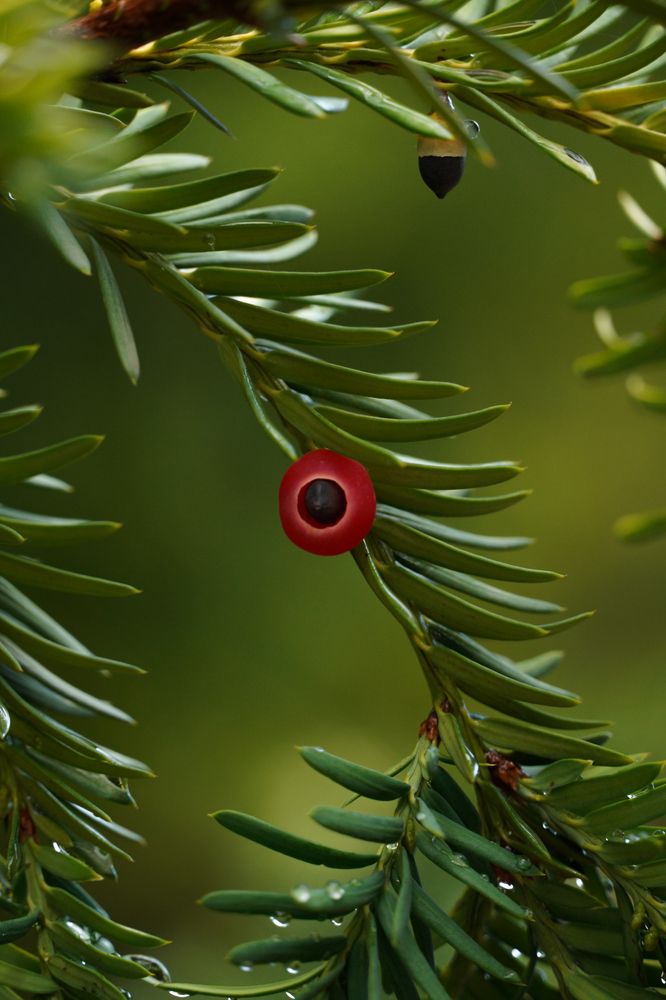 Photograph by Marjan Ostrogonac