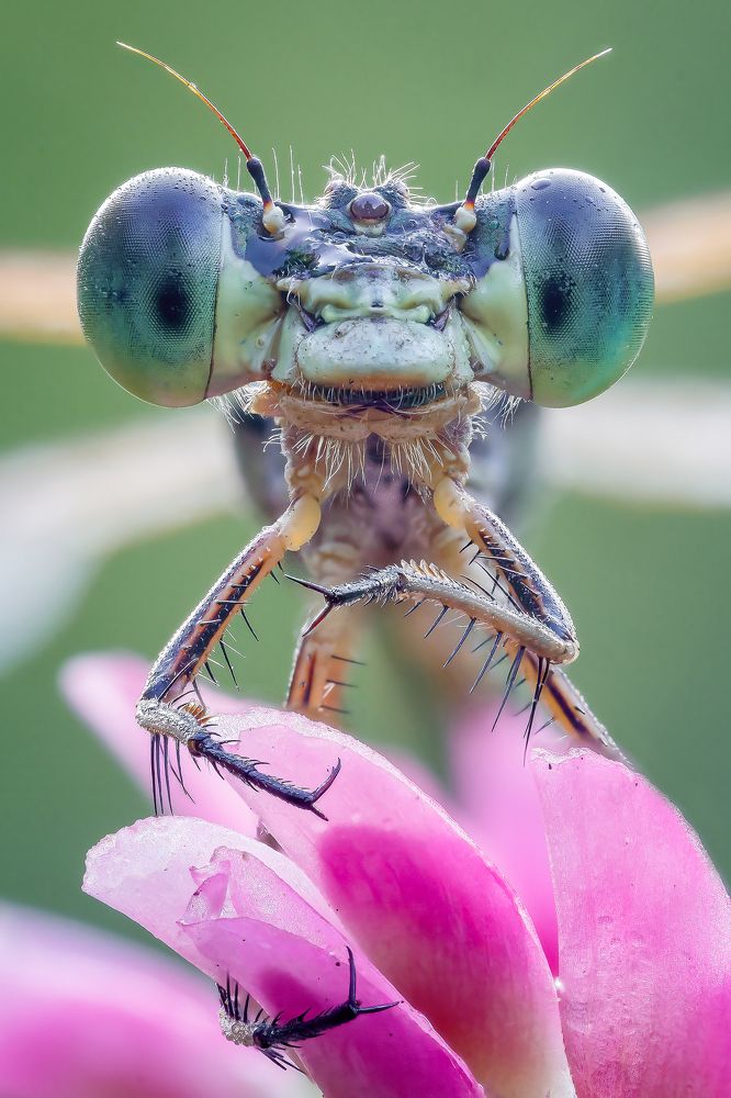 Photograph by Кузнецов Дмитрий