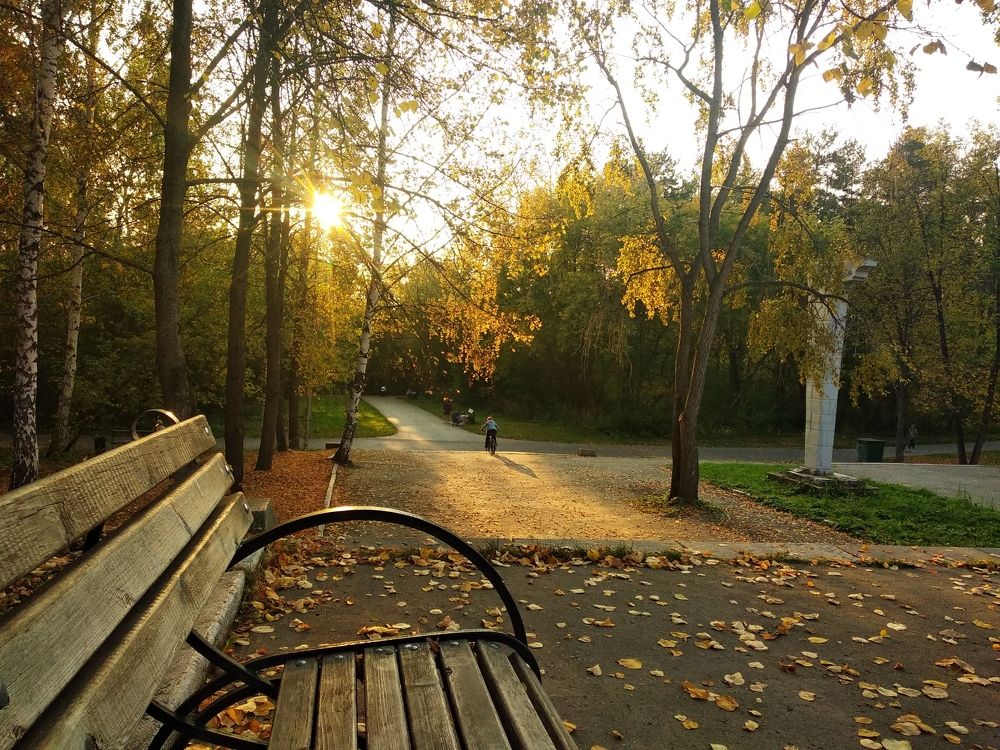 Photograph by Елена