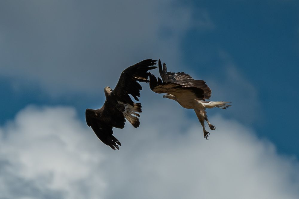 Фотография автора Lasith Fernando