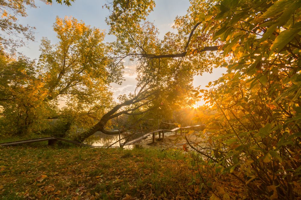 Photograph by Максим Шелякин