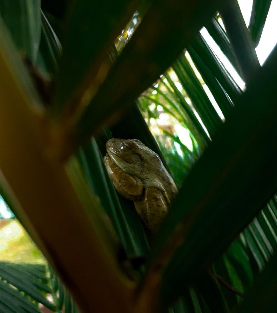 Photograph by ISABELLE SANTOS CARVALHO LOPES