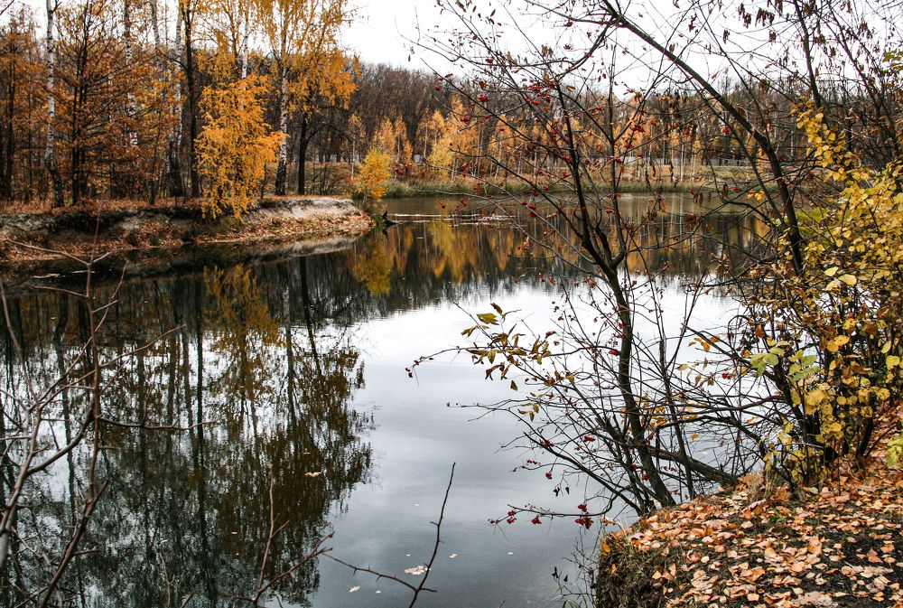 Photograph by Ирина Архипова