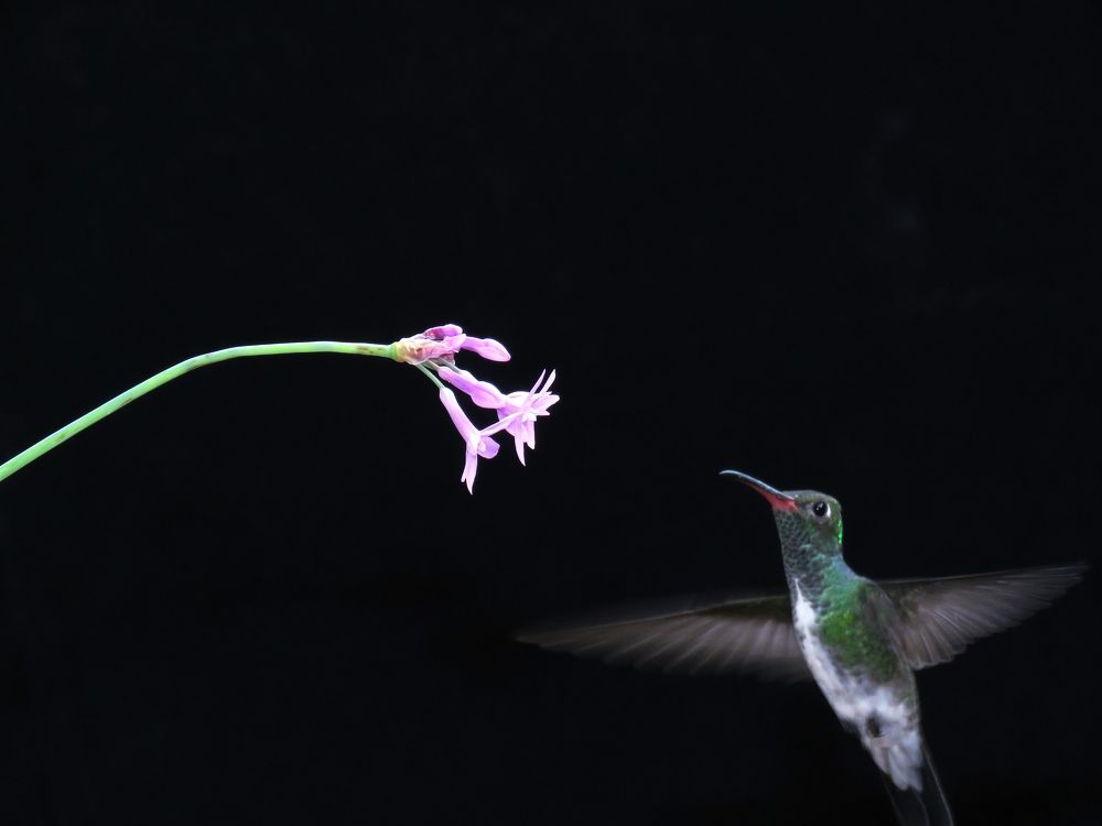 Photograph by Tomás Fernández