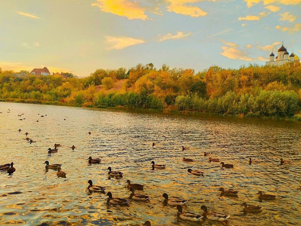 Photograph by Надежда Болтунова