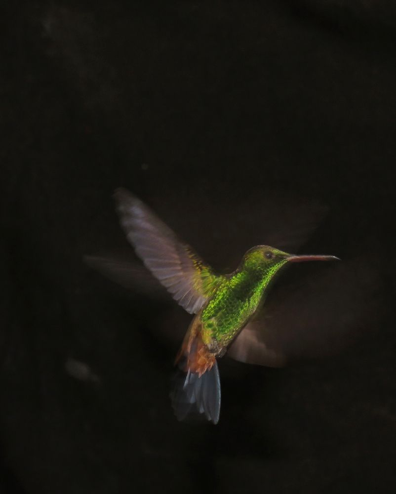 Photograph by Tomás Fernández