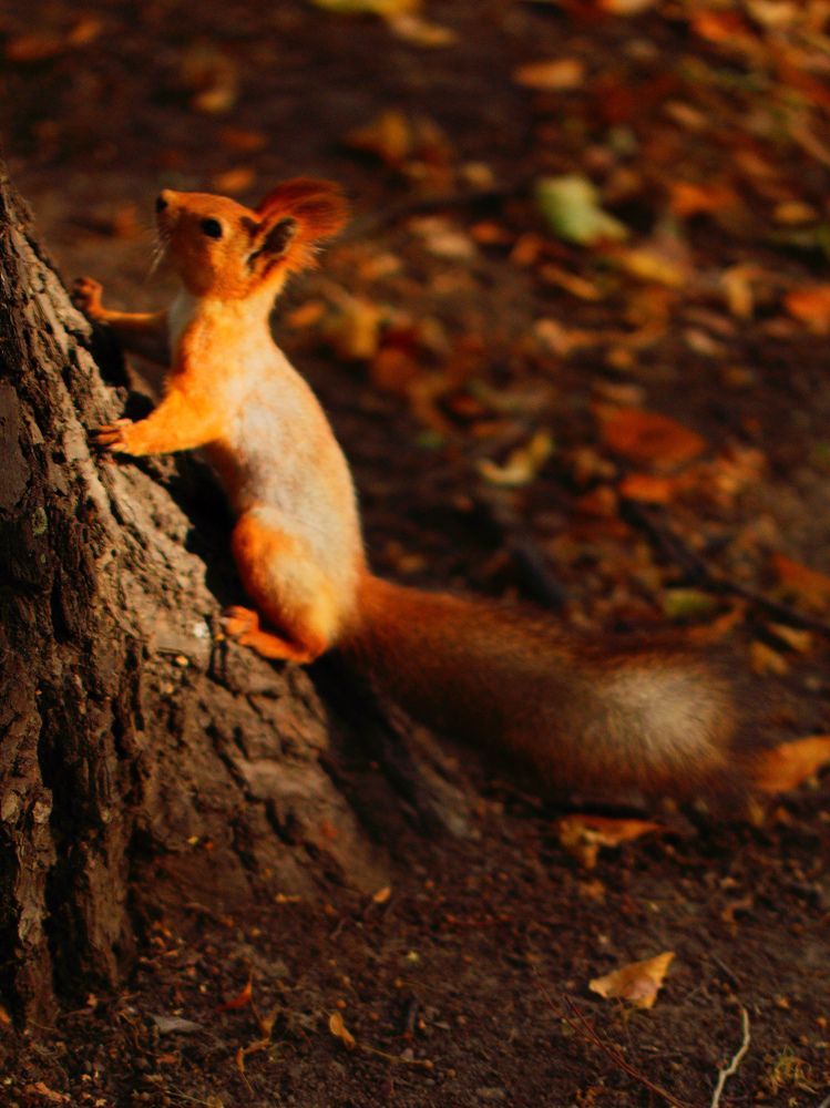 Photograph by Гусева Марина