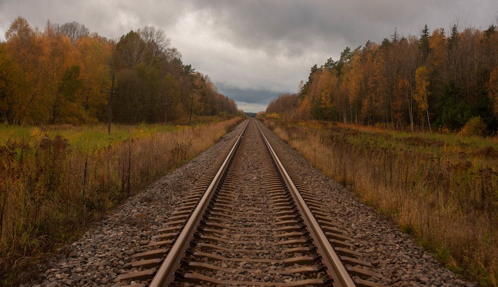 Фотография автора Aлексей Игнатьев