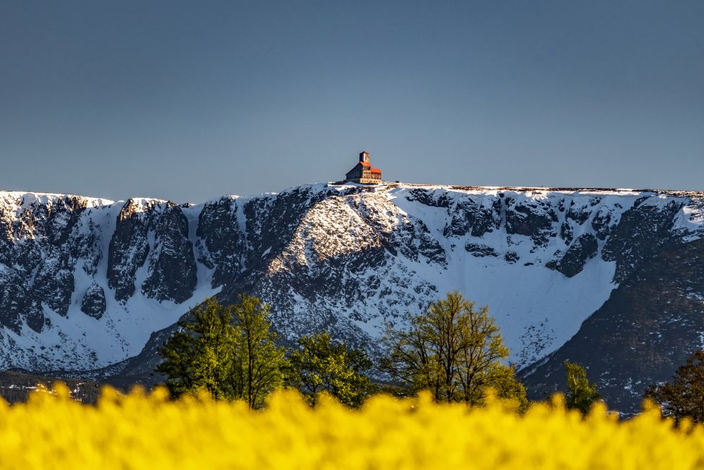 Photograph by Grzegorz Truchanowicz