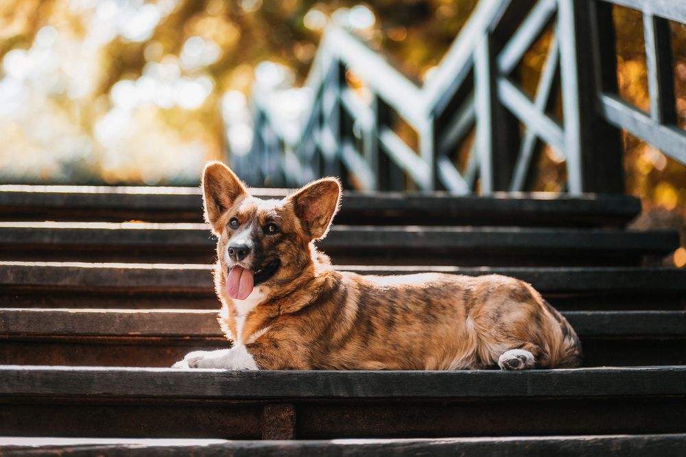 Photograph by Виктория Клименко