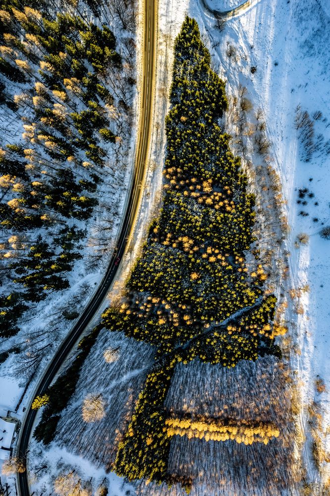 Photograph by Grzegorz Truchanowicz