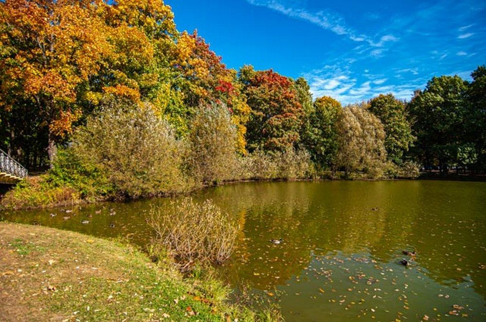 Фотография автора Виталий Дузь