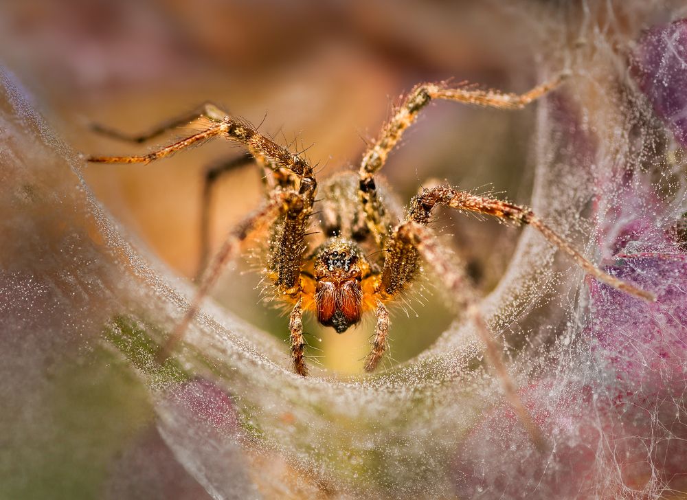 Photograph by Atul Saluja