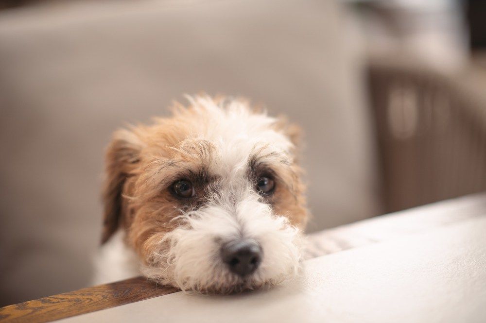 Photograph by Ирина Ситникова