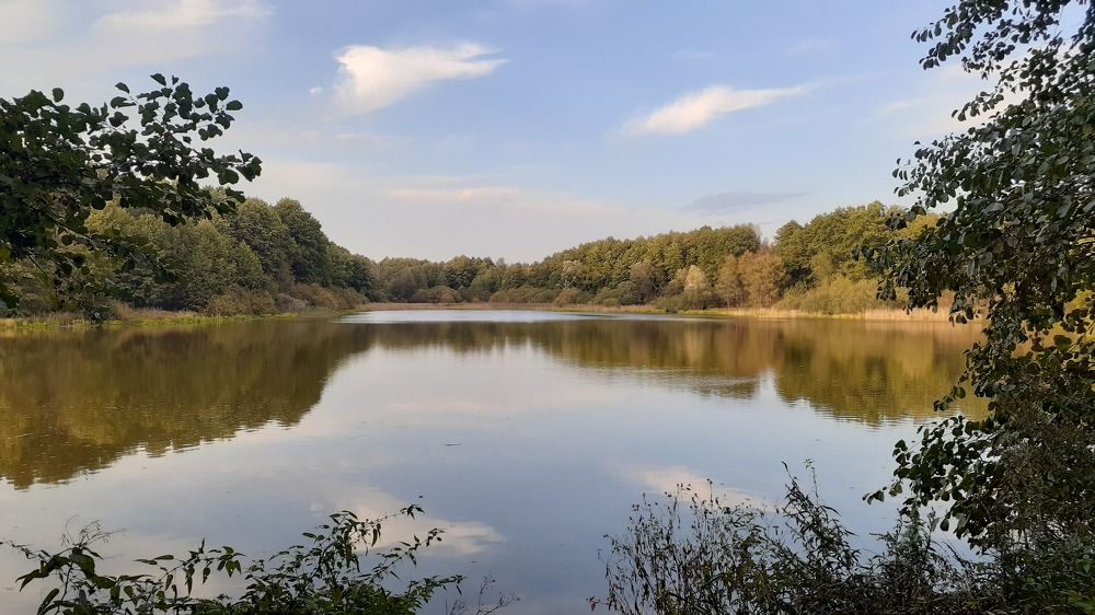 Photograph by Владимир Носов