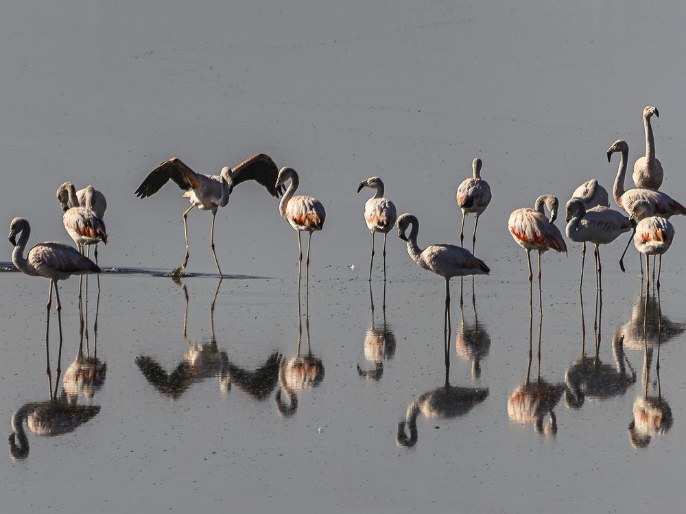 Photograph by Pablo Corengia