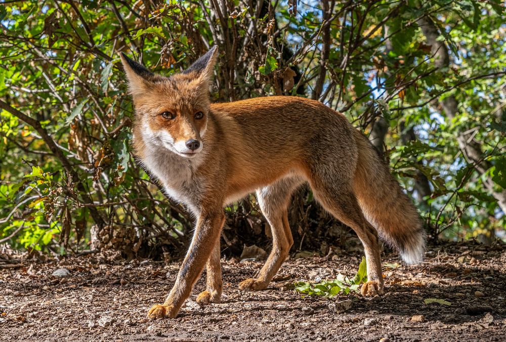 Photograph by Савчук Сергей