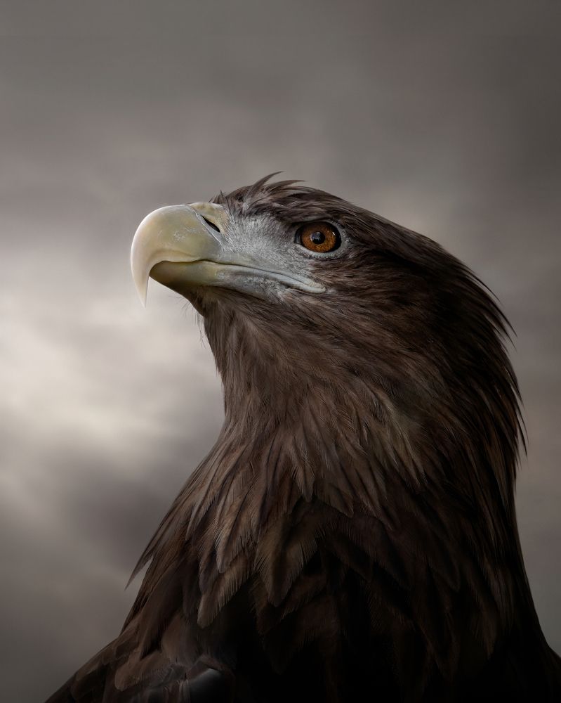 Photograph by Алексей Горин