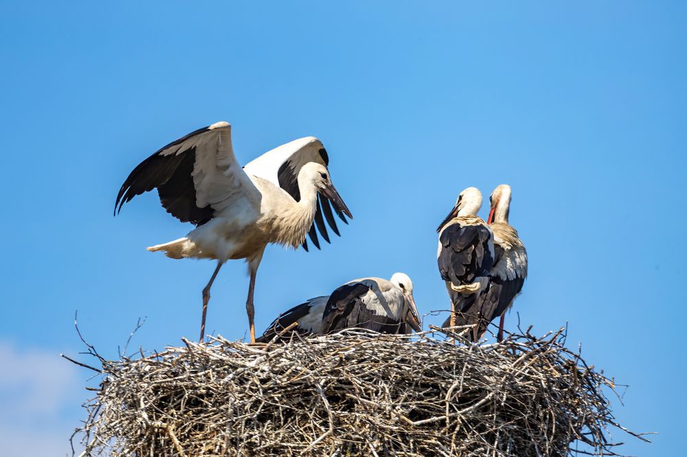 Photograph by Алексей Горин