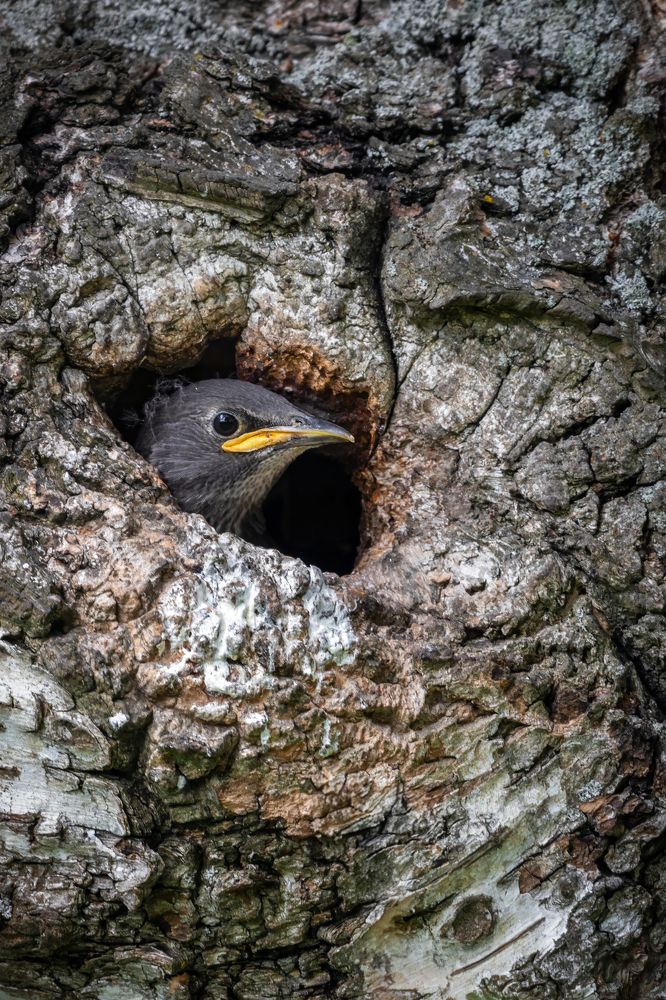 Photograph by Алексей Горин