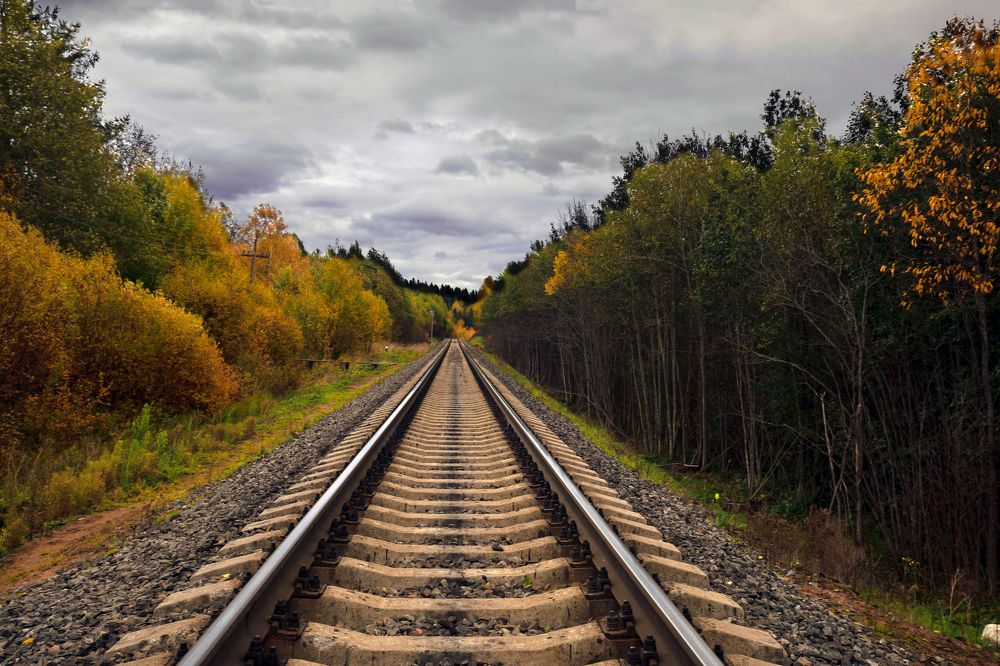 Дорога в осень.