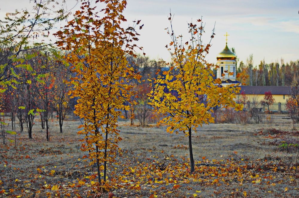 Photograph by Олег Радионов