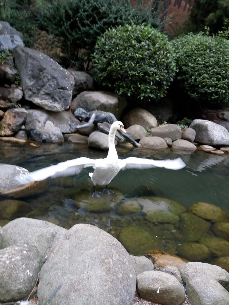 Photograph by Татьяна Пальчикова