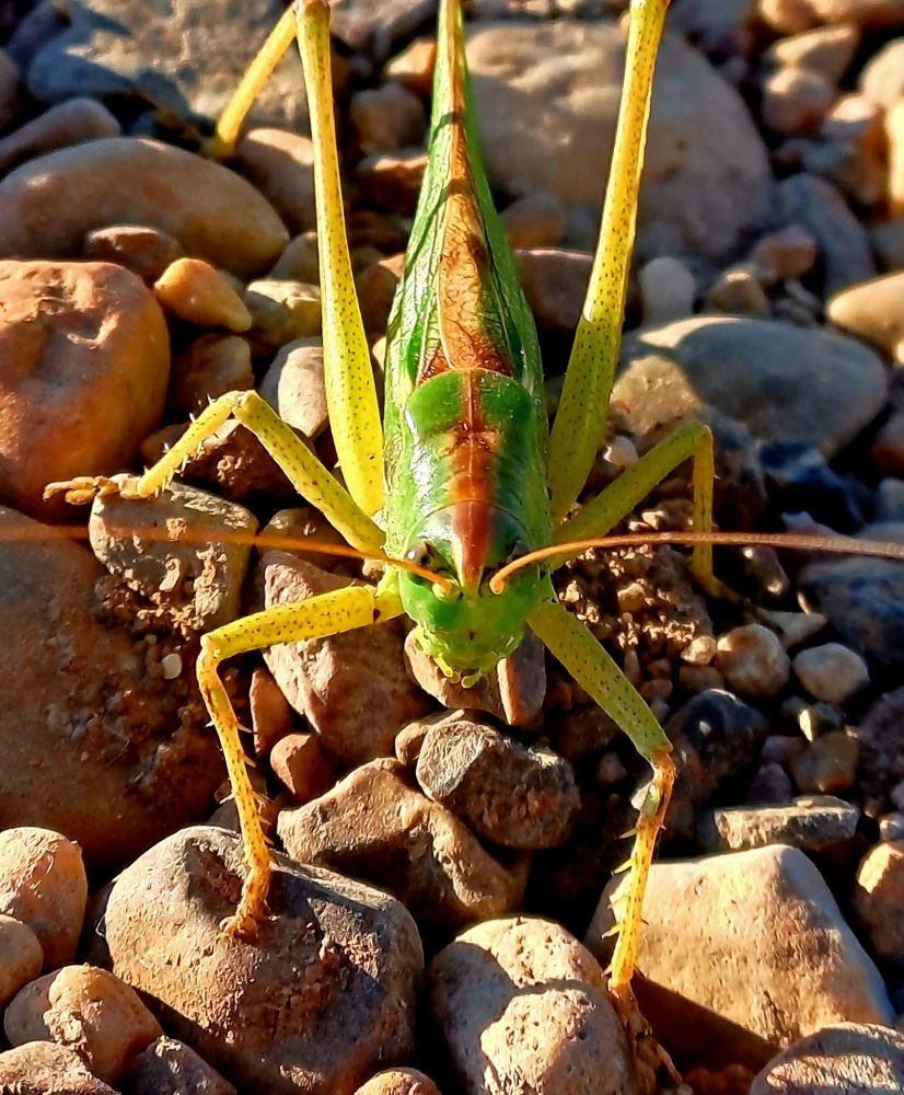Photograph by Александра Насырова