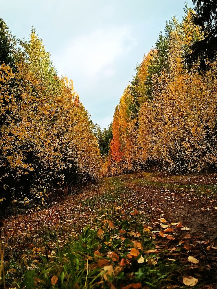 Photograph by Татьяна Бешенкина